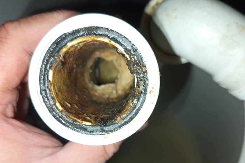 la prevención es clave para no repetir problema